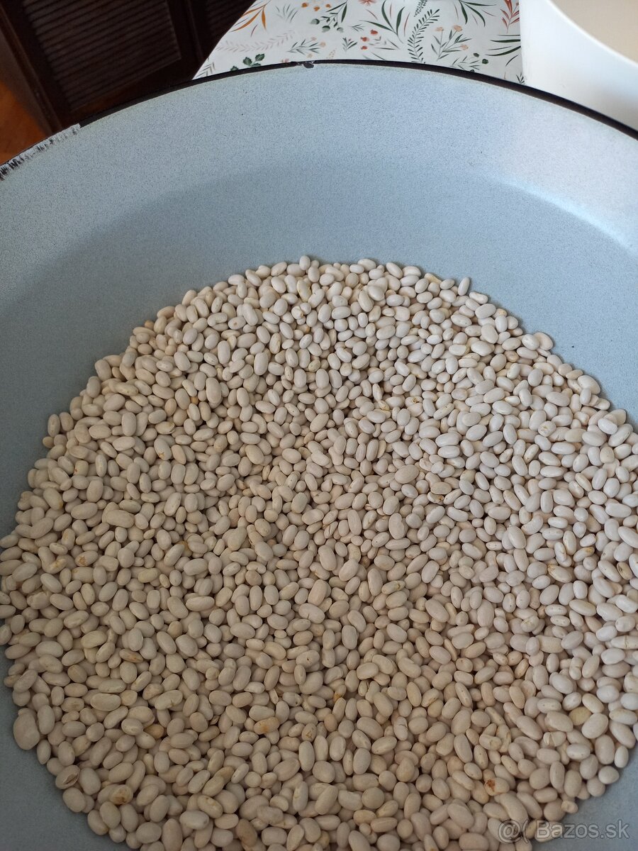 Predám domácu BIO fazuľu