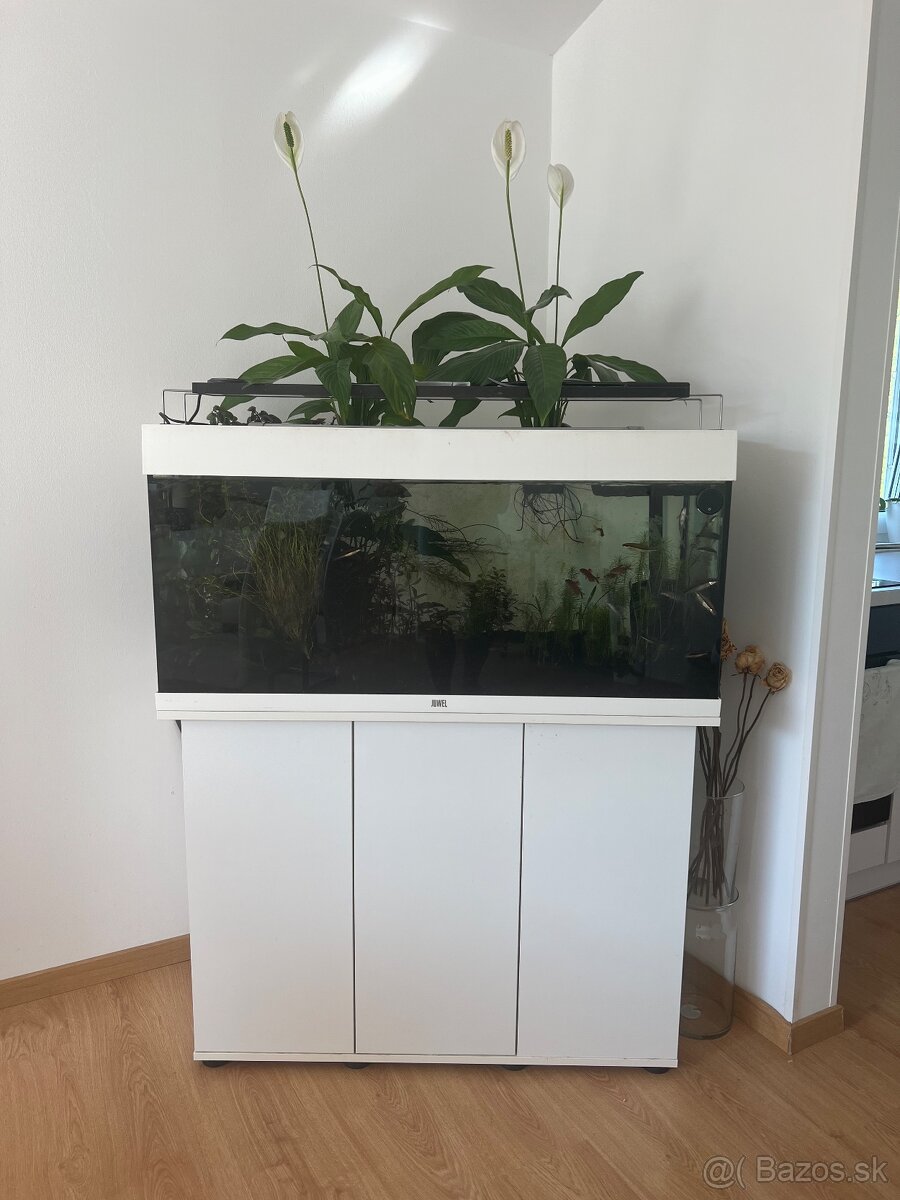 Akva set RIO 180L