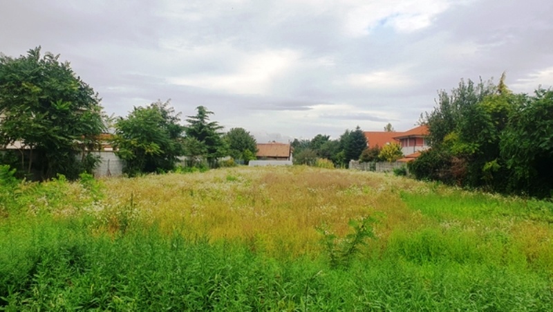 Stavebný pozemok 705.5 m2, Kittsee, Rakúsko