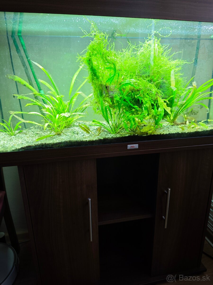 Predam akvarium Juwel 180
