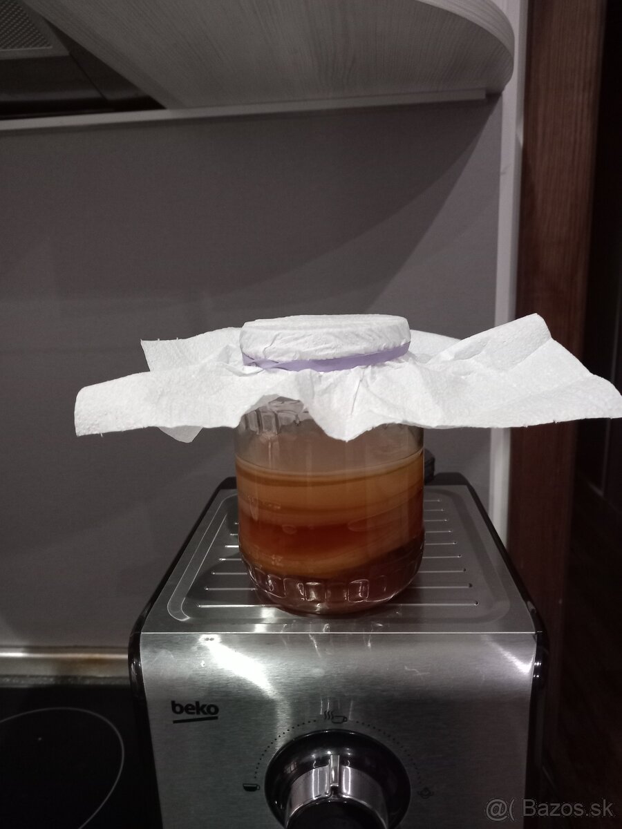 Kombucha