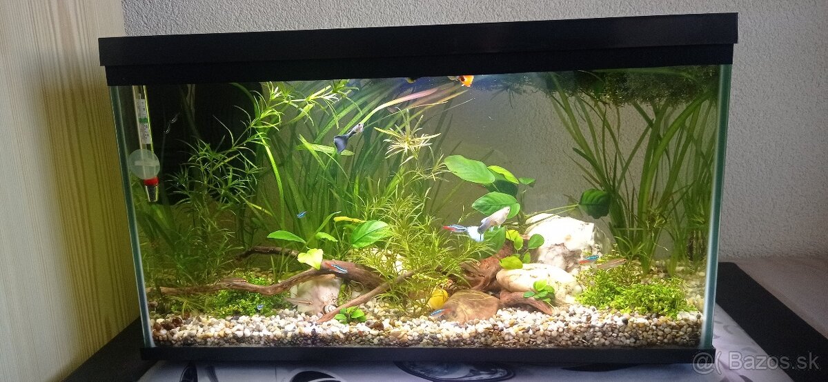 Predam akvarium