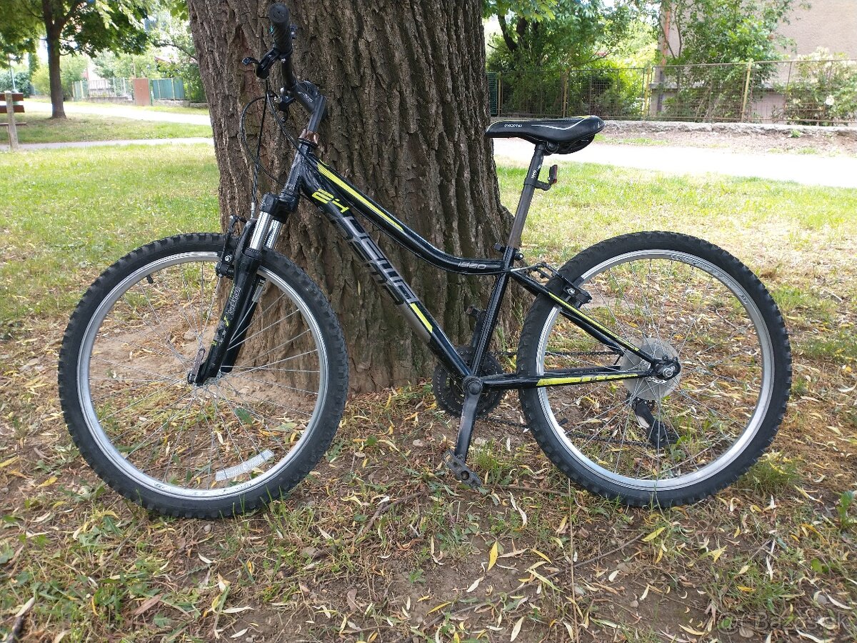 Dema 24