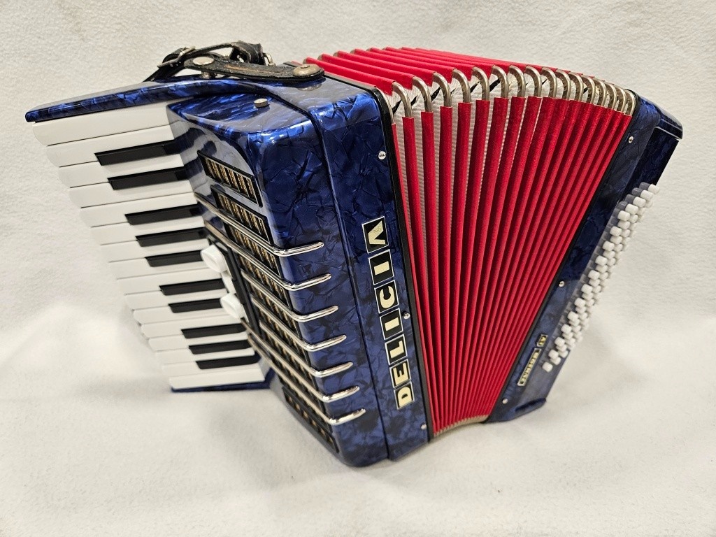 akordeon delicia junior 60 basovy