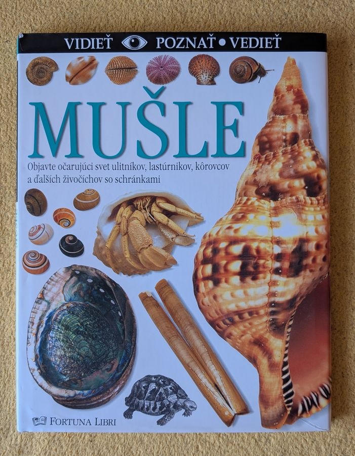 Mušle