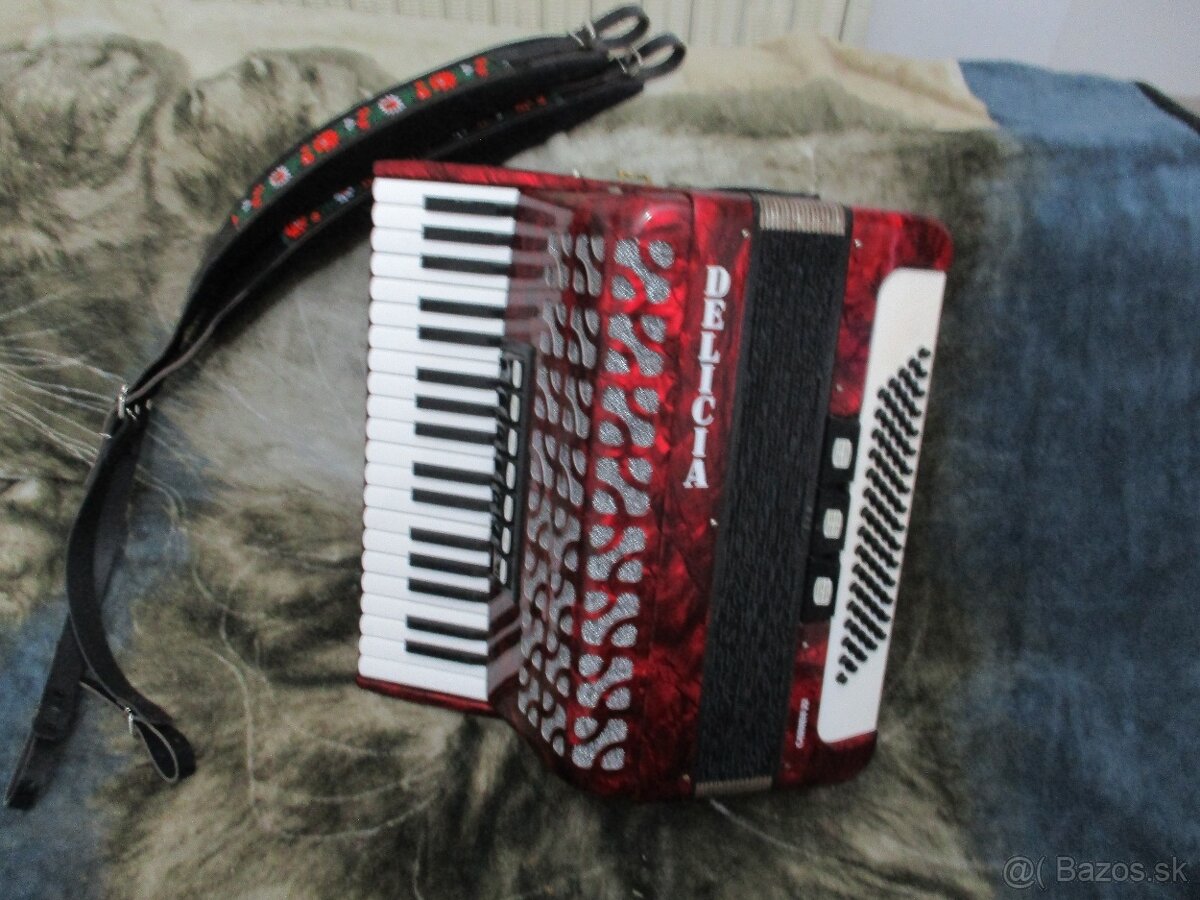 harmonika delicia carmen 22