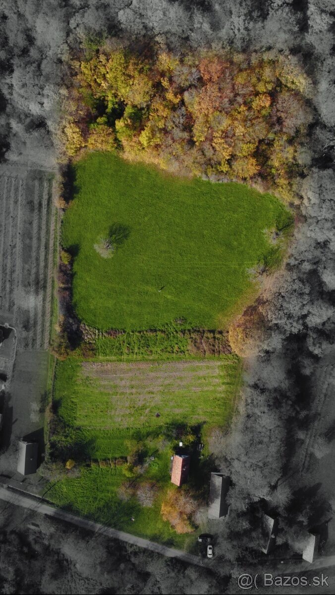 Prenájom 1ha pozemku.