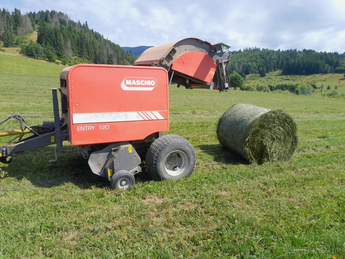 Maschio