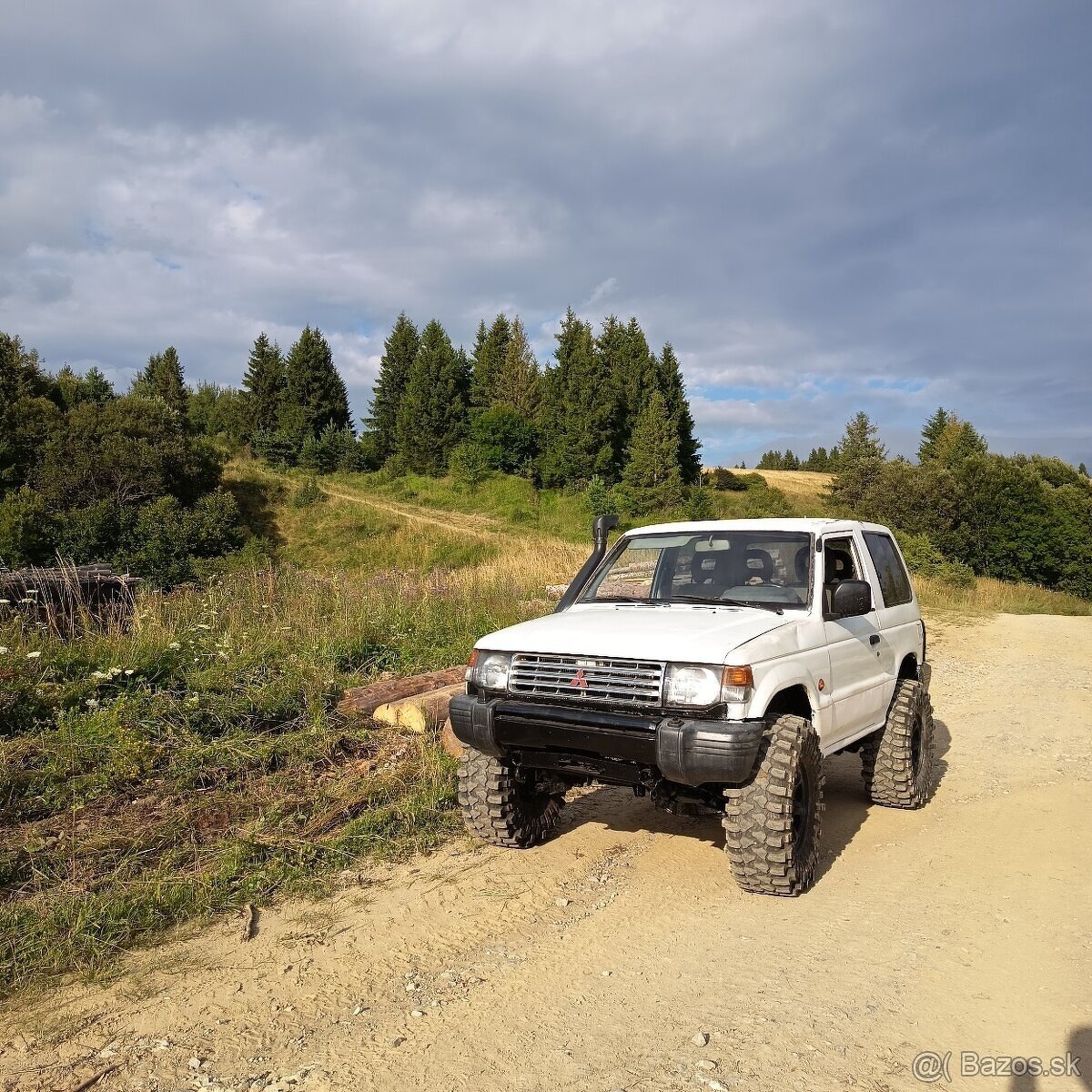 Mitsubishi Pajero 2 BMW M57