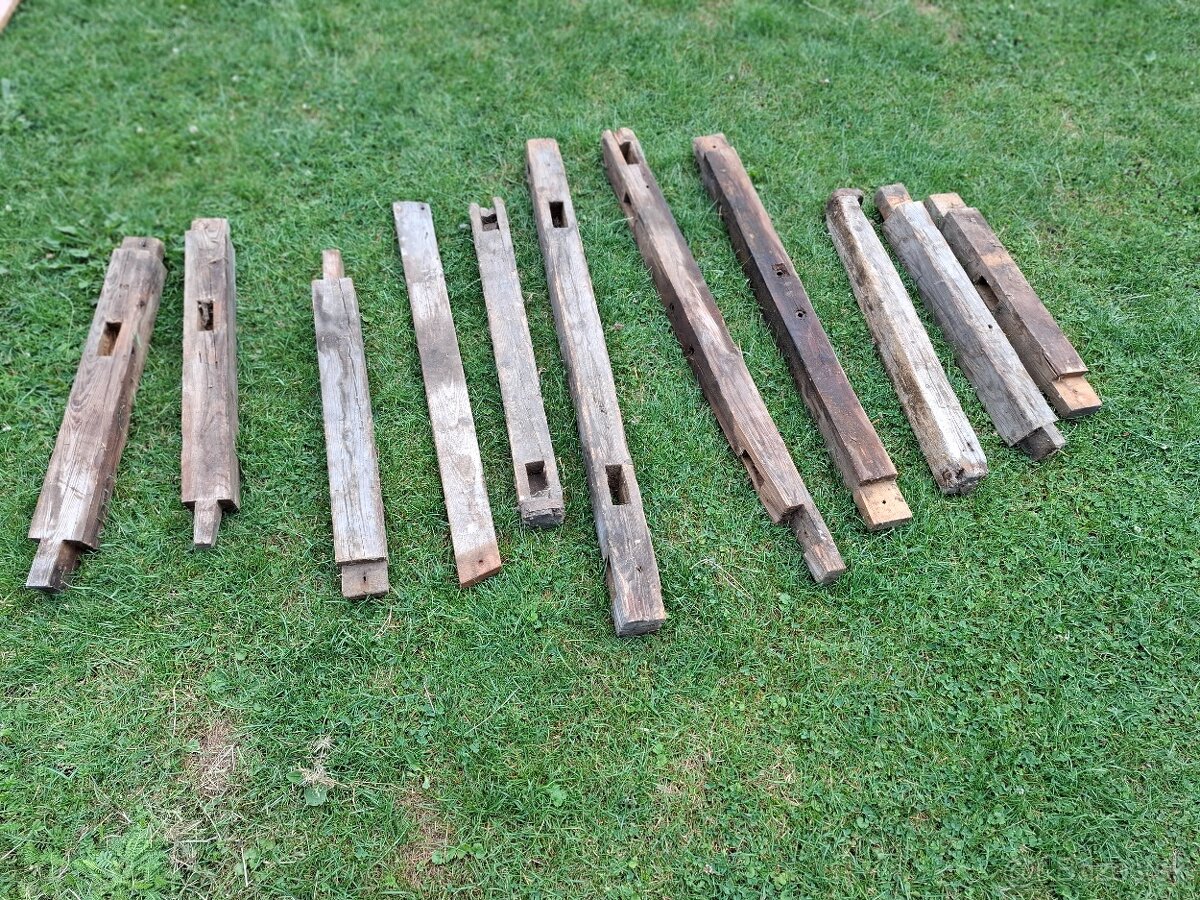 120 ročné drevo