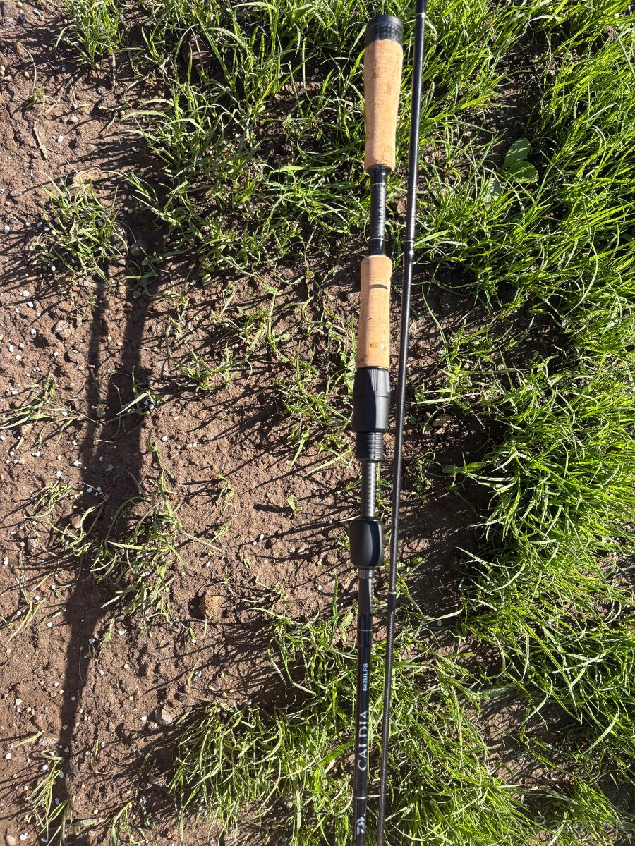 DAIWA Caldia Light Spin 1,95m 1-6g
