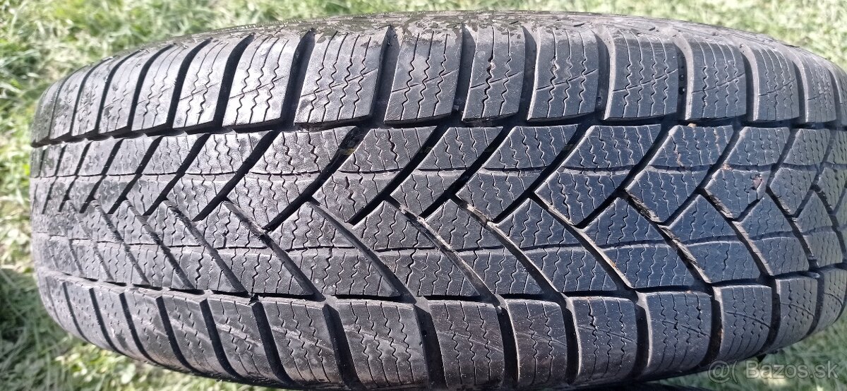 Pneumatiky NORDICA