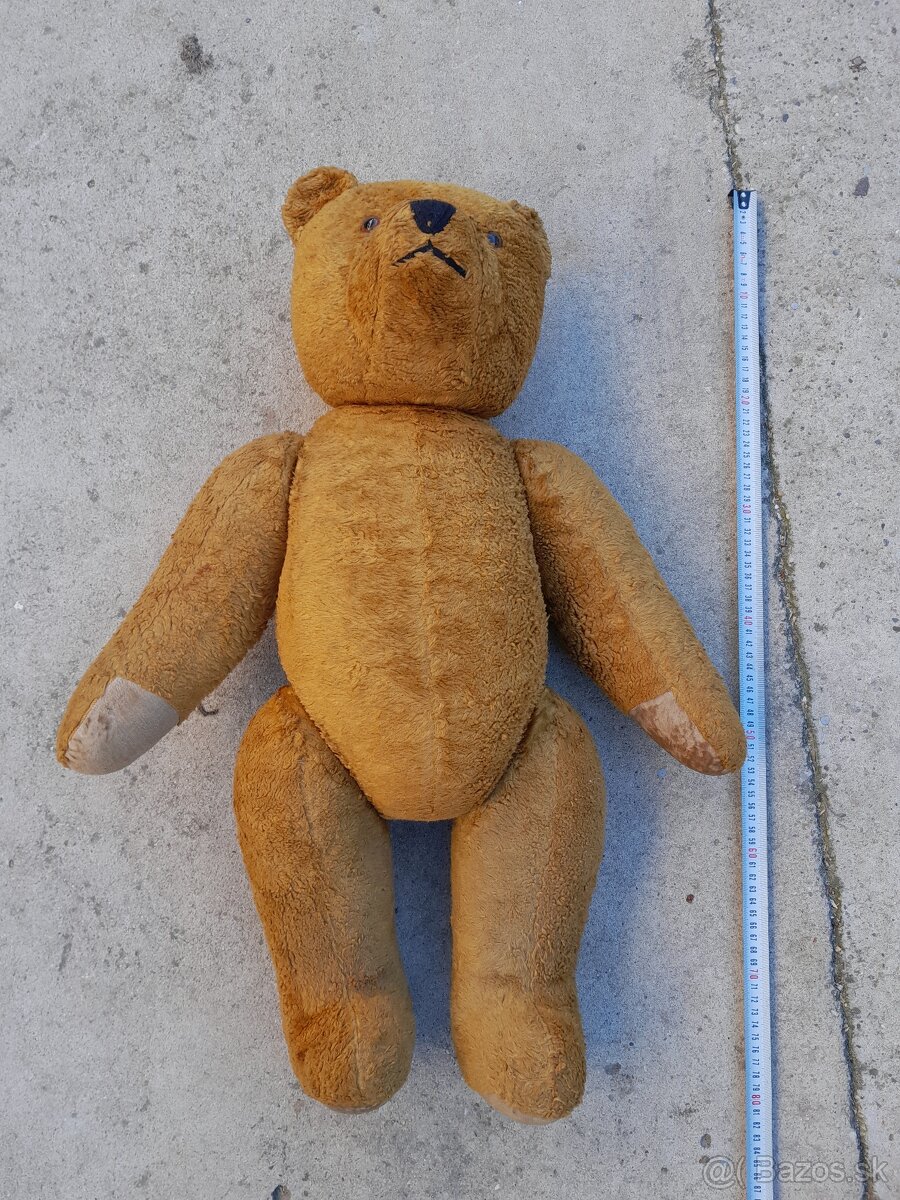 Predám 70 ročného medveďa