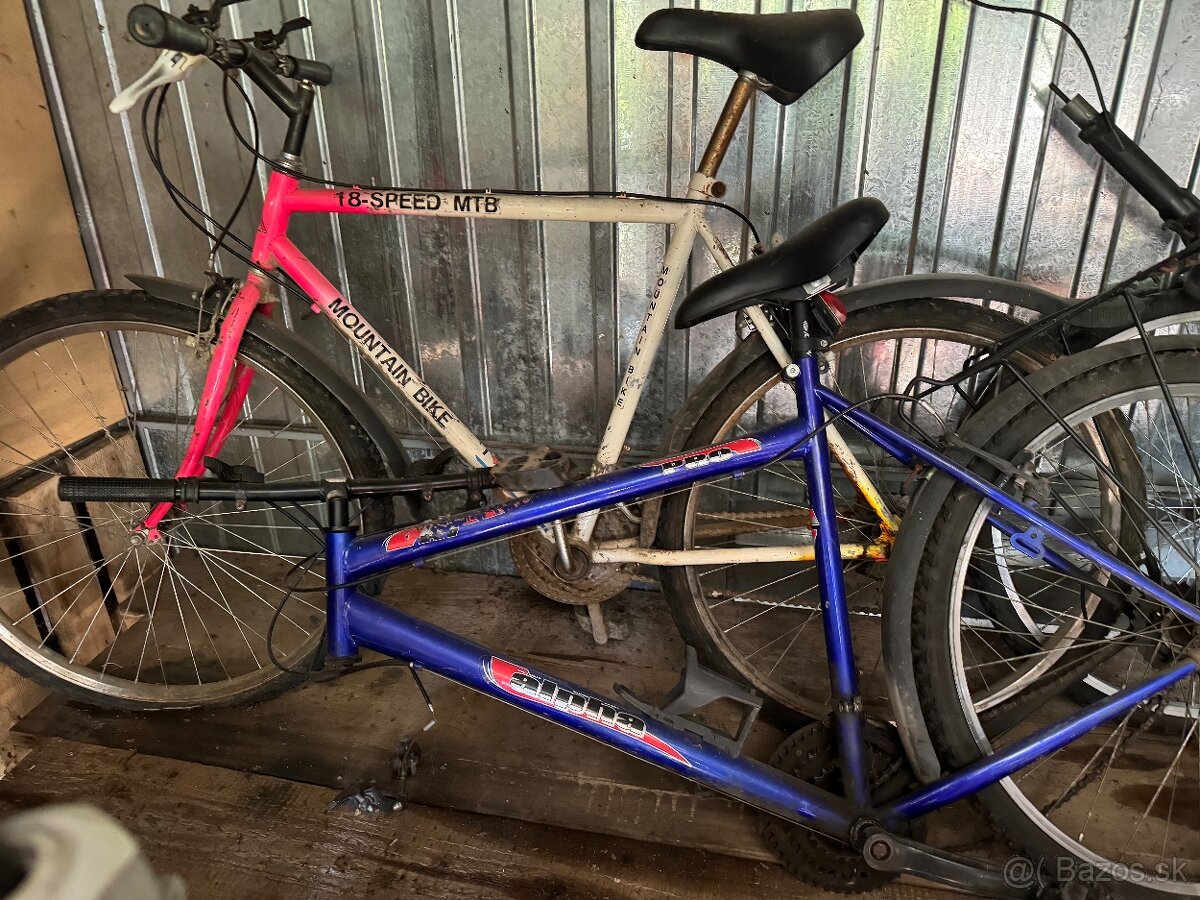 Horský bicykel