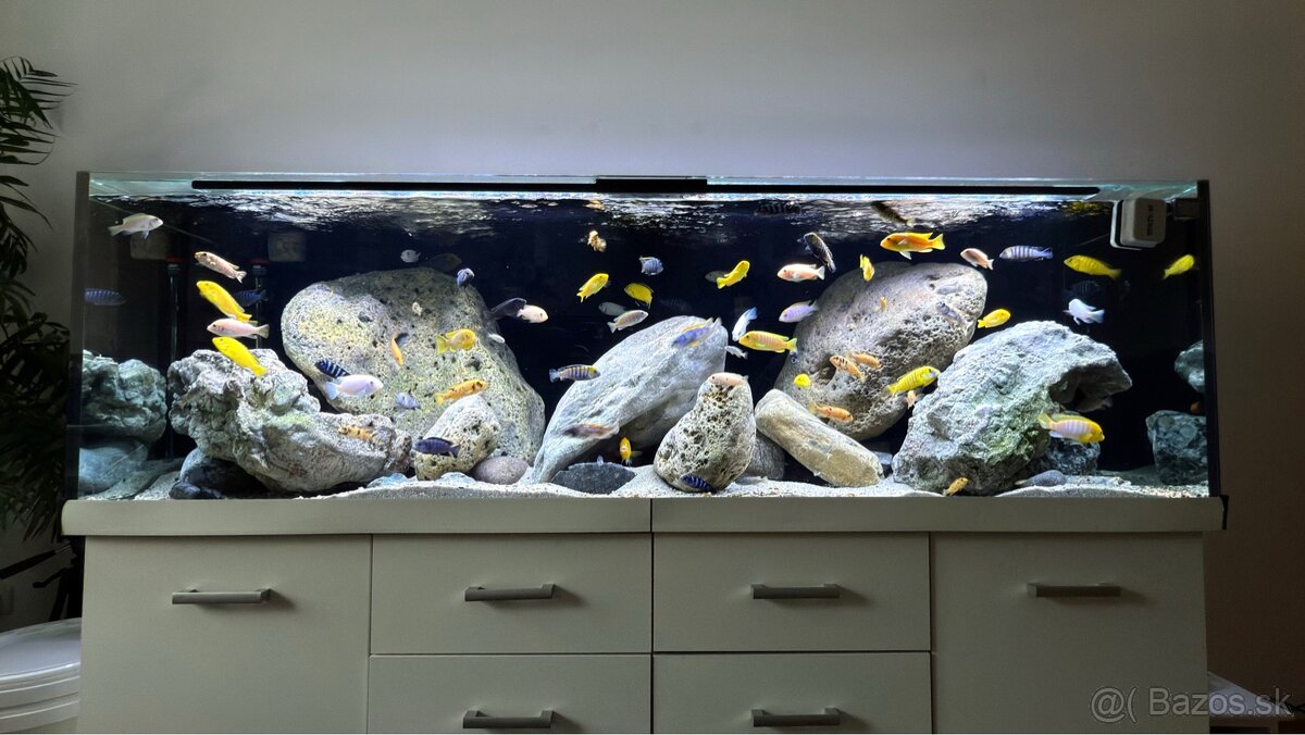 Akvarium set -Diversa Solid 200 rovný 720 l akváriový.