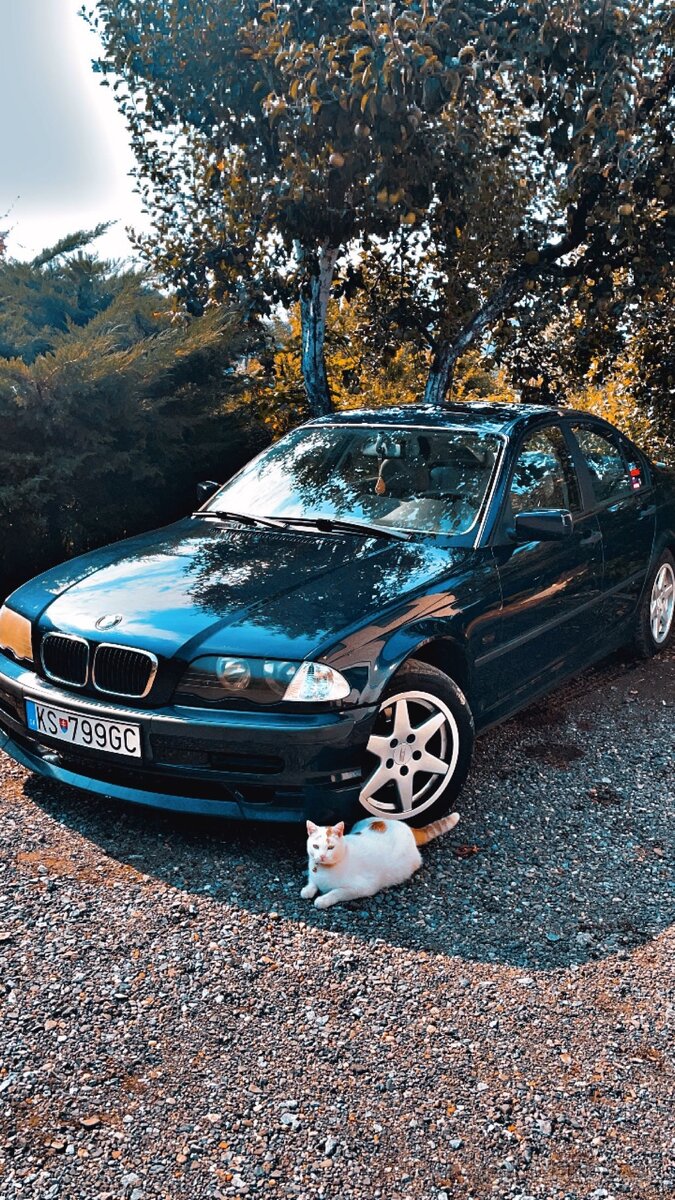 Bmw e46 316i