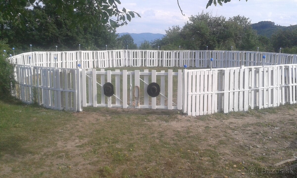 Ustajnenie