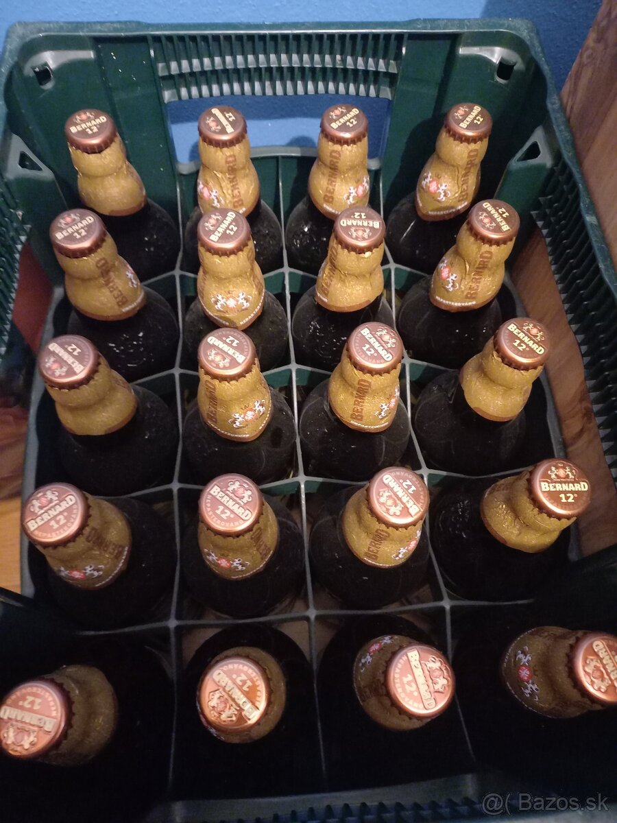 Pivo