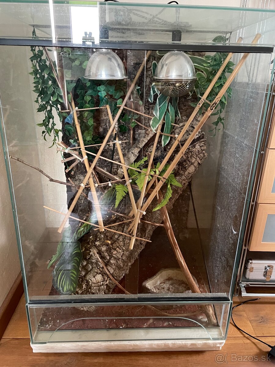Terarium pre chameleona
