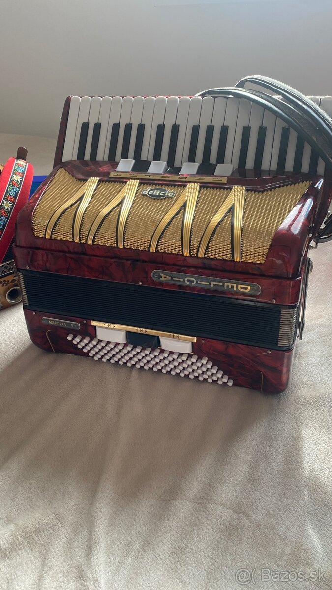 Akordeon 96 bas Delicia