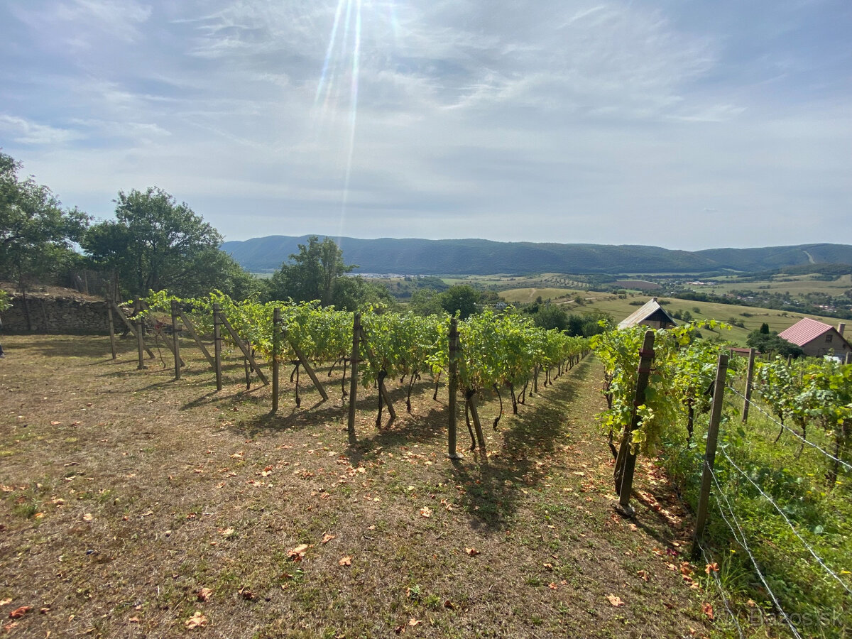 PREDAJ Nádherná vinica s chatkou, Hrušov