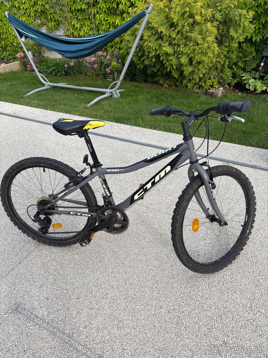 Detsky bicykel CTM Berry 1.0 24”