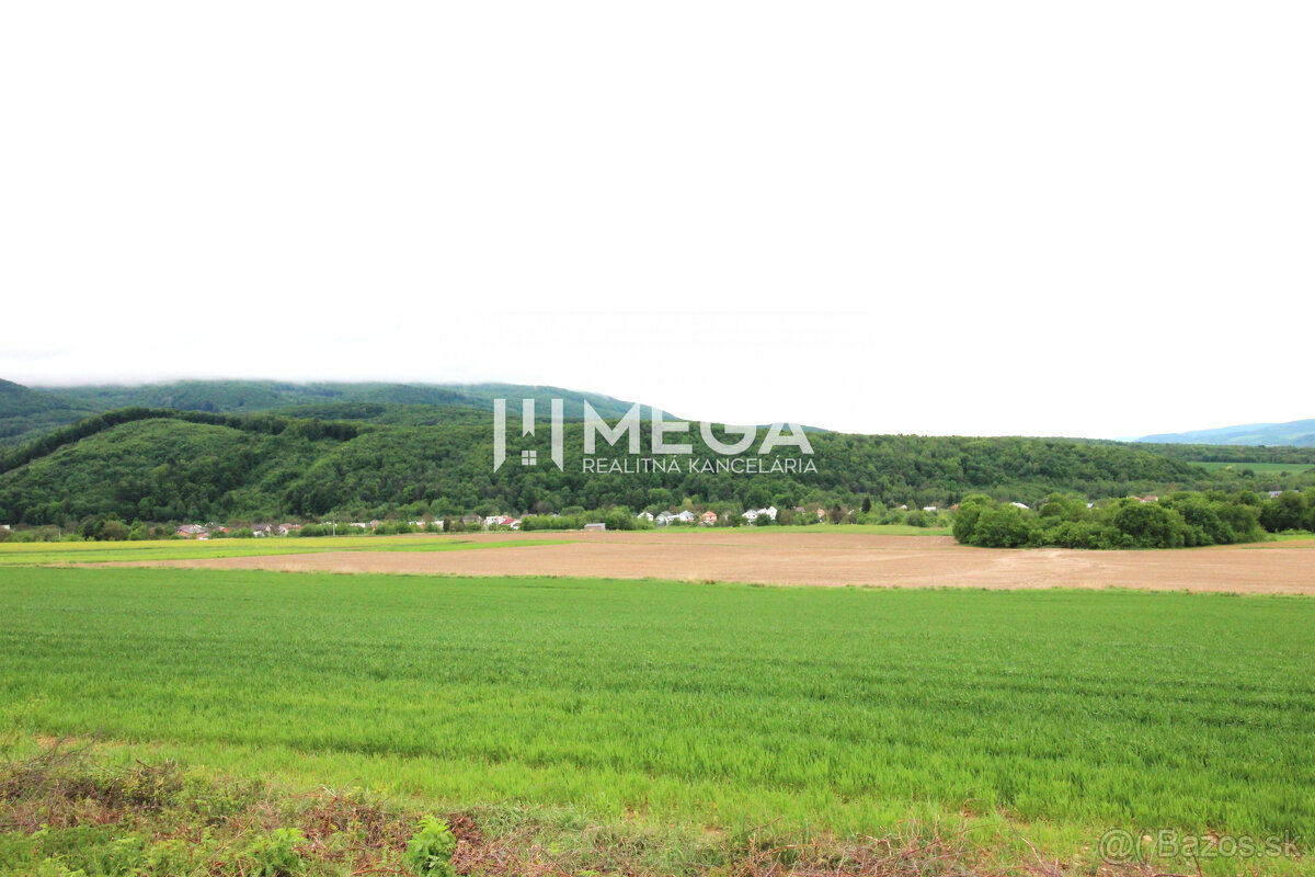 NA PREDAJ INVESTIČNÝ POZEMOK V OBCI ZEMPLÍNSKE HÁMRE 3114 m²