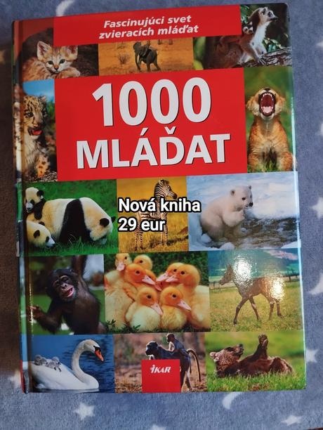 Nová veľká encyklopédia