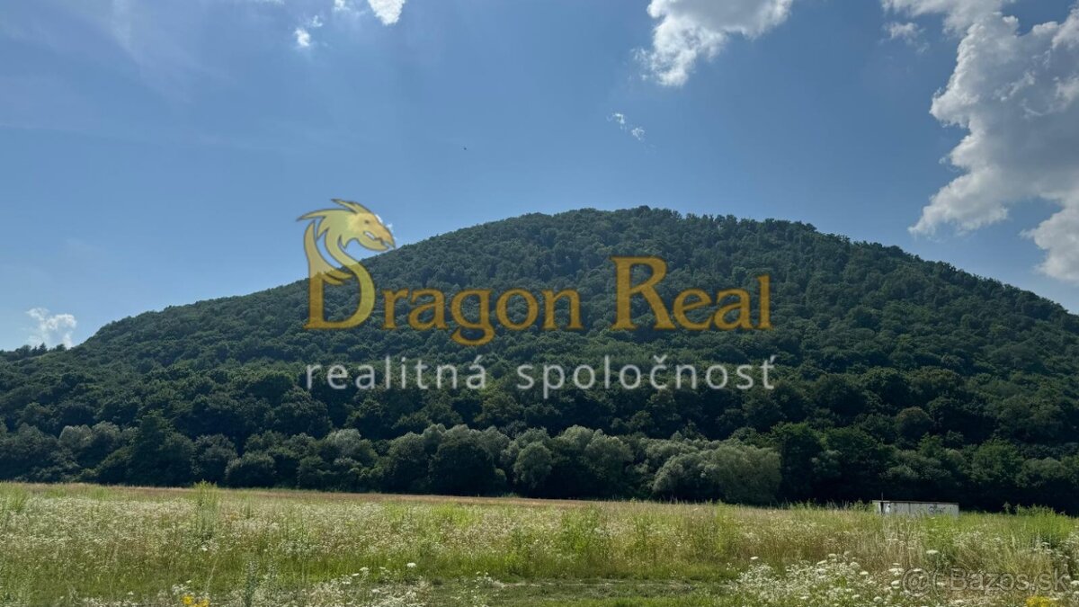 2 INVESTIČNÉ POZEMKY o rozlohe 2307m2 a 461 m2- VEĽKÝ ŠARIŠ