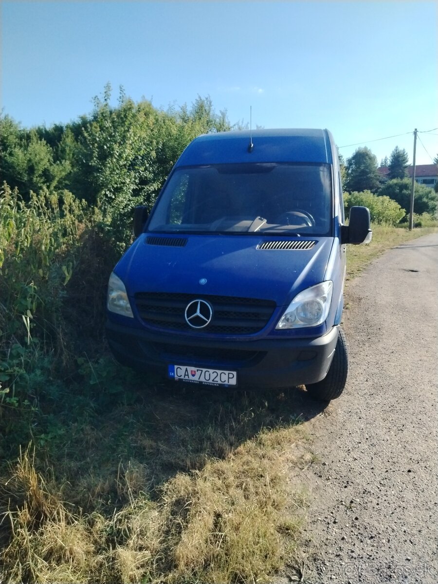 Sprinter