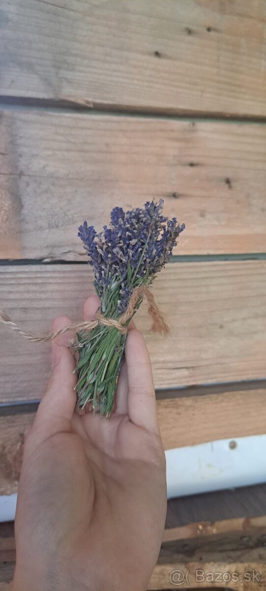 💜 Malý zväzok levandulelevandule 🌿