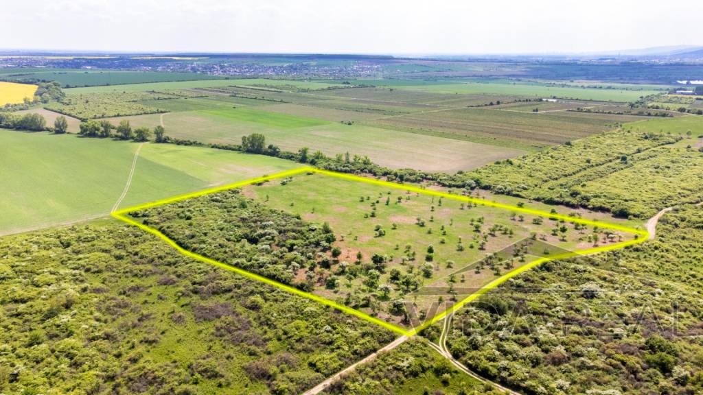 Pozemok v Modre s výmerou až 58.977 m2