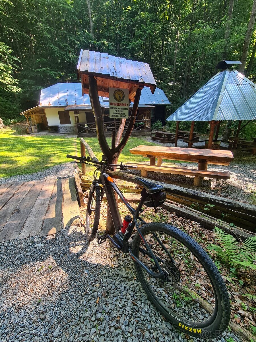 Dema E-Trail Max 600 29 2019