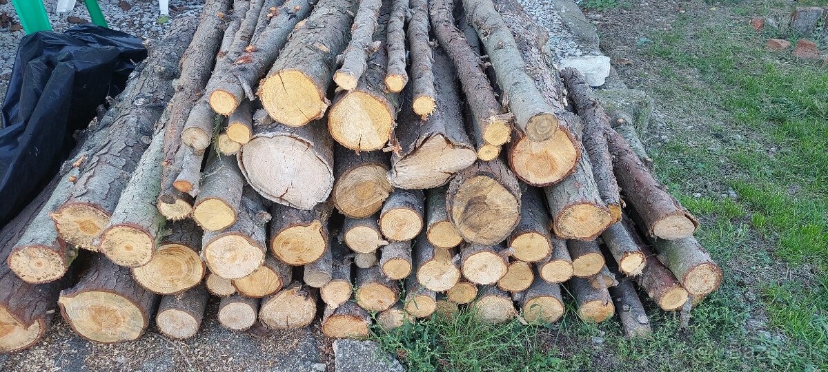Predám