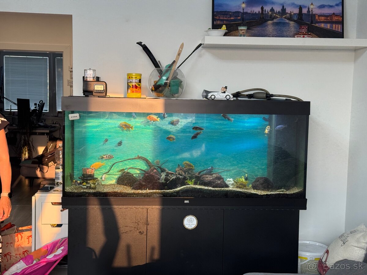 German-Made Juwel Rio 450 LED Aquarium - Full Setup