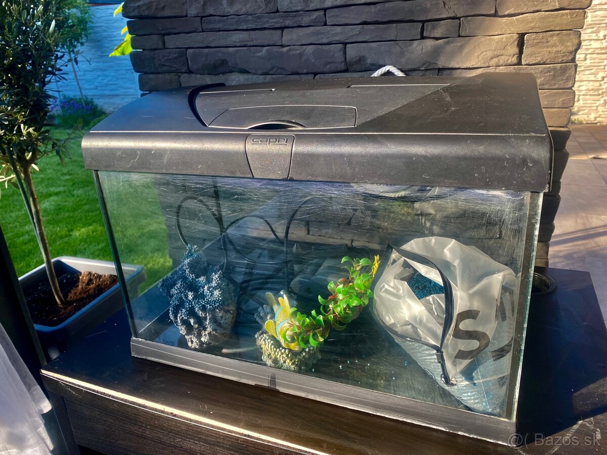 Akvarium