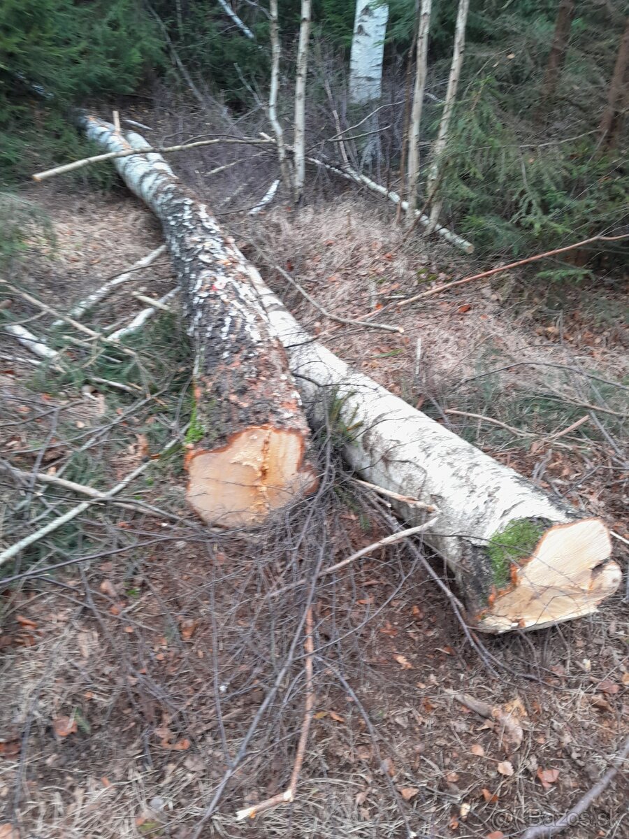 Palivove drevo