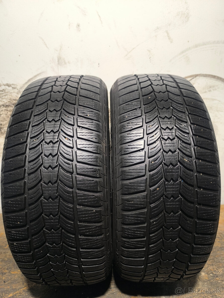 225/55 R17 Zimné pneumatiky Sava Eskimo 2 kusy