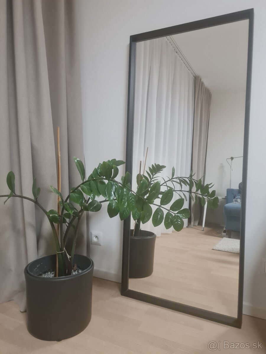 Zrkadlo v ciernom rame 65×150