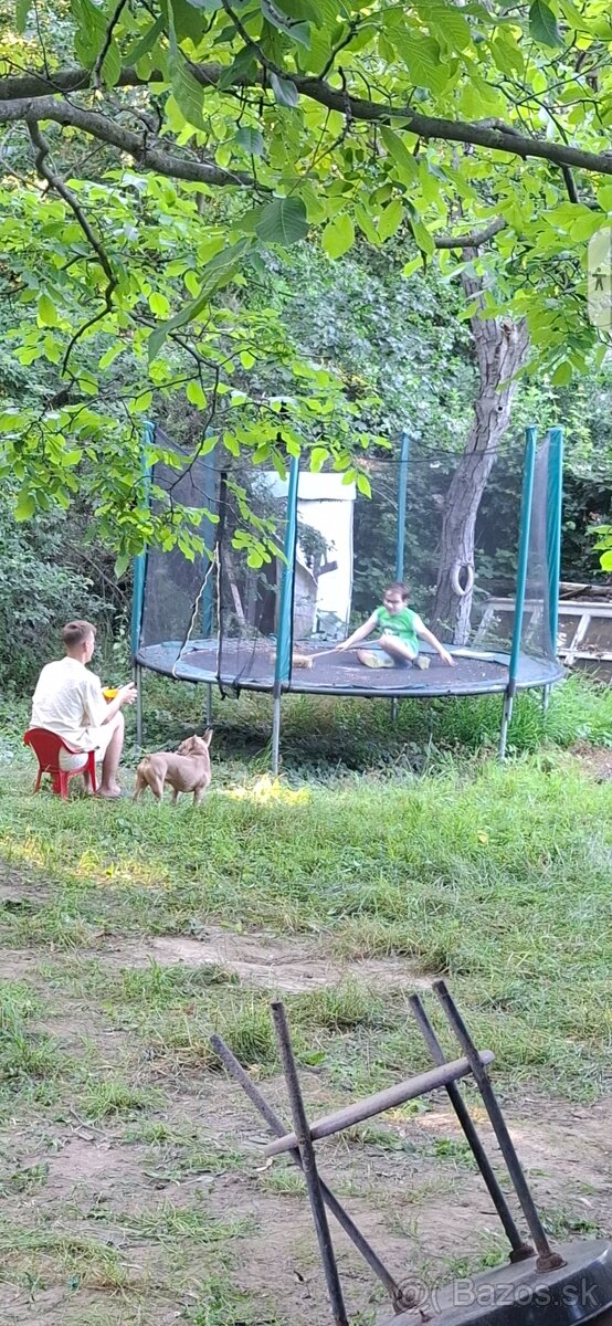 Trampolína