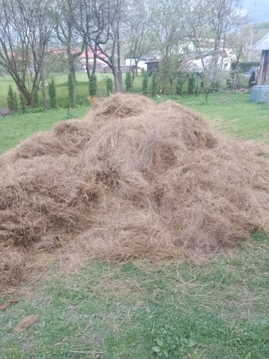 Darujem seno zo sennika.