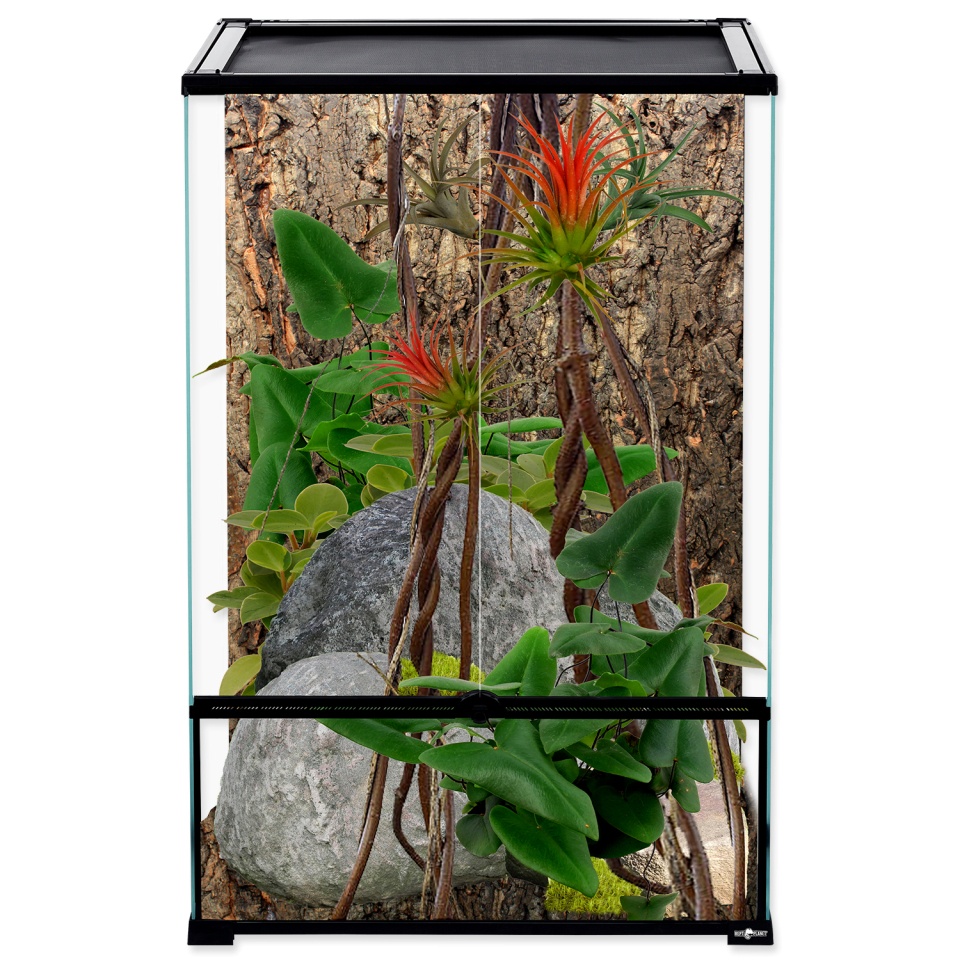 Terarium