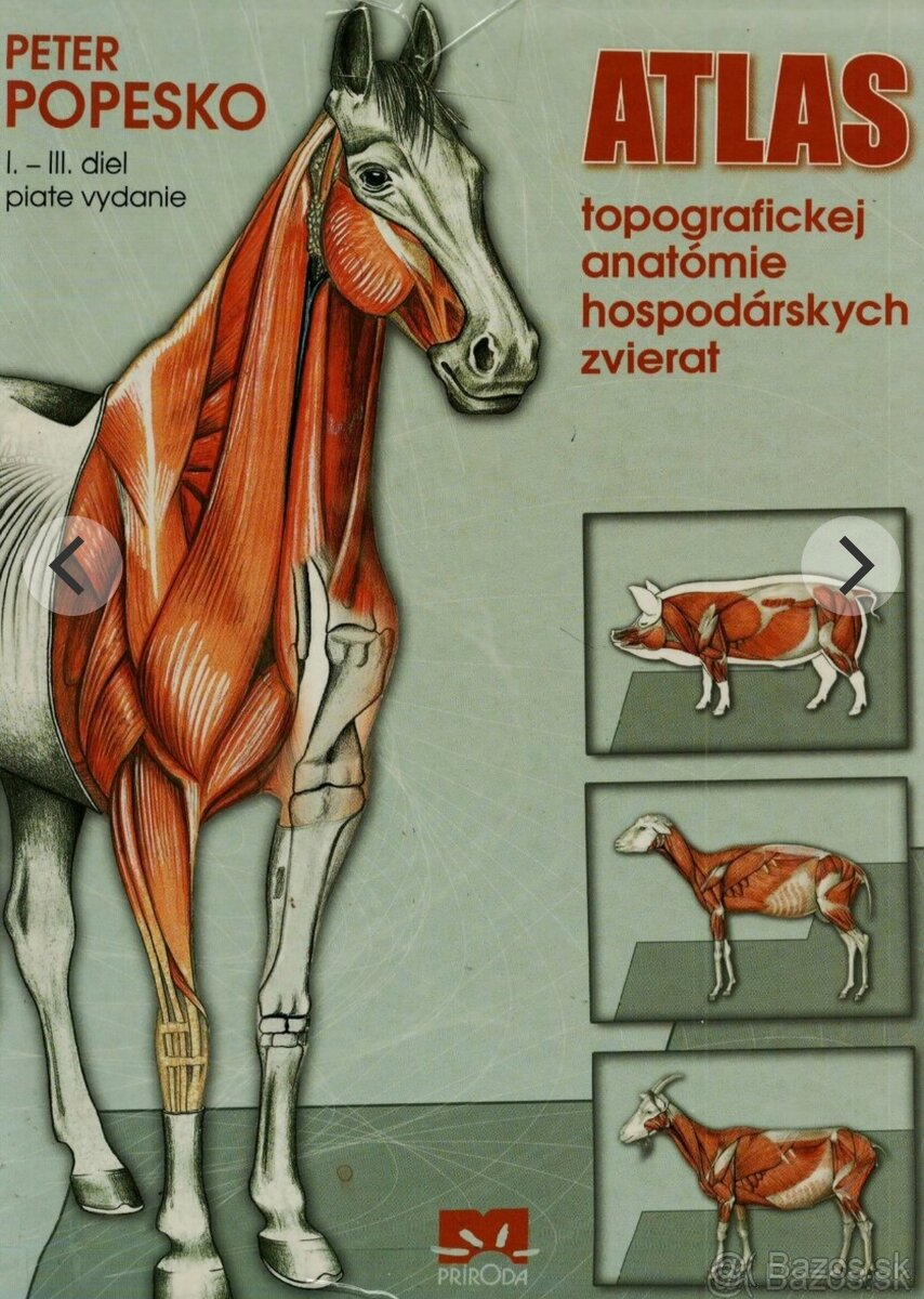 Atlas topografickej anatómie hospodársky zvierat, Popesko