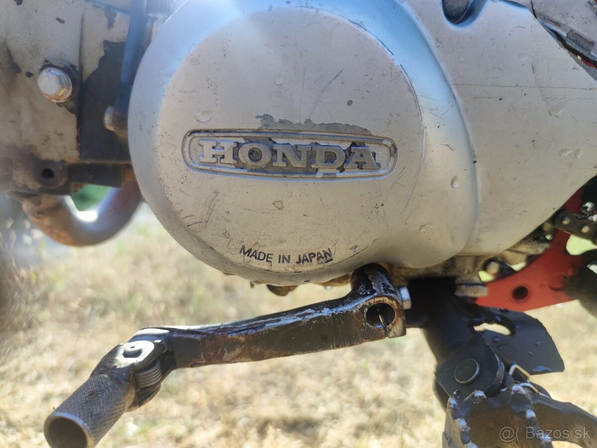 Honda pitbike