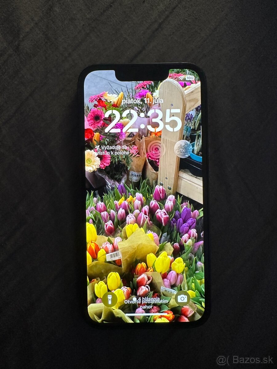 iPhone 13 mini