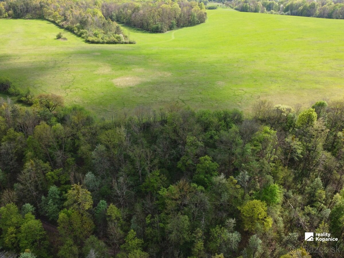 Veľký rekreačný pozemok, Brezová pod Bradlom