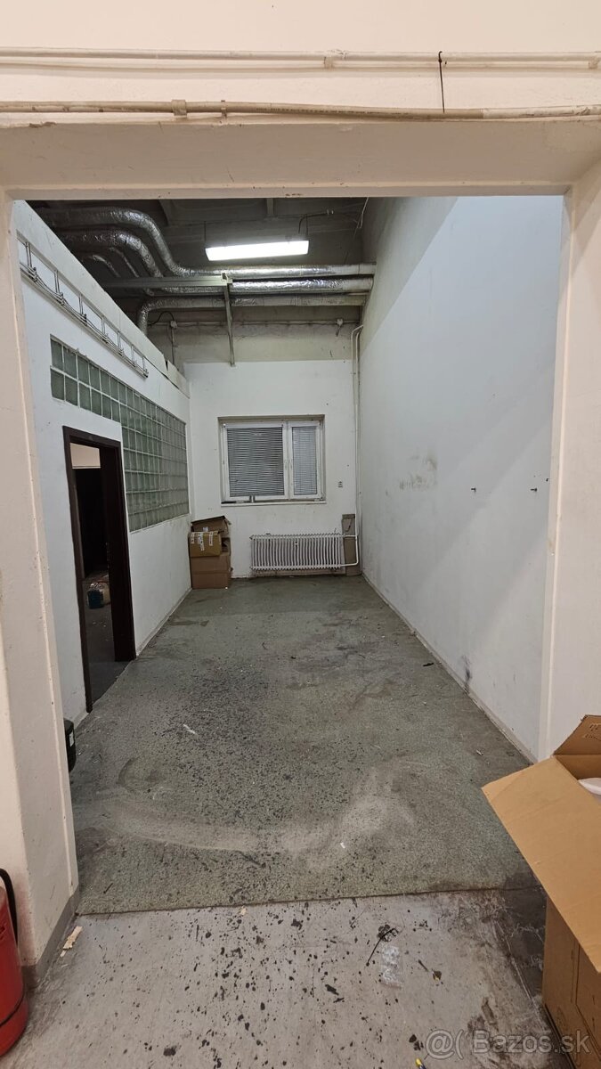 Skaldove priestory 67m2 Bojnicka (Protetika)