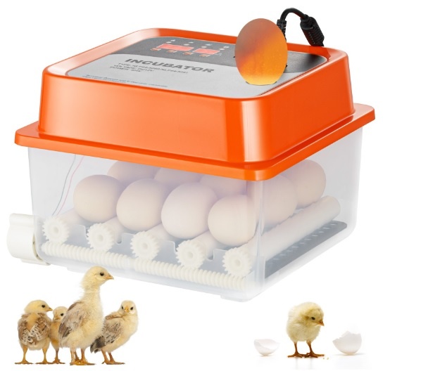 Automatická liaheň na 12 vajíčok, pre hydinu, vtáky.