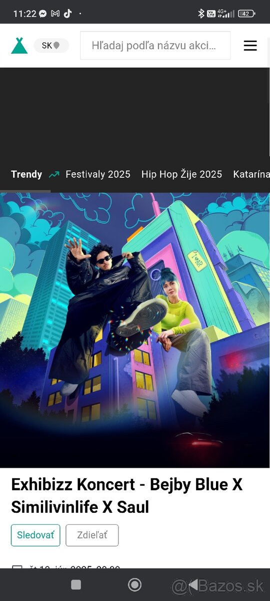 vstupenka na koncert
