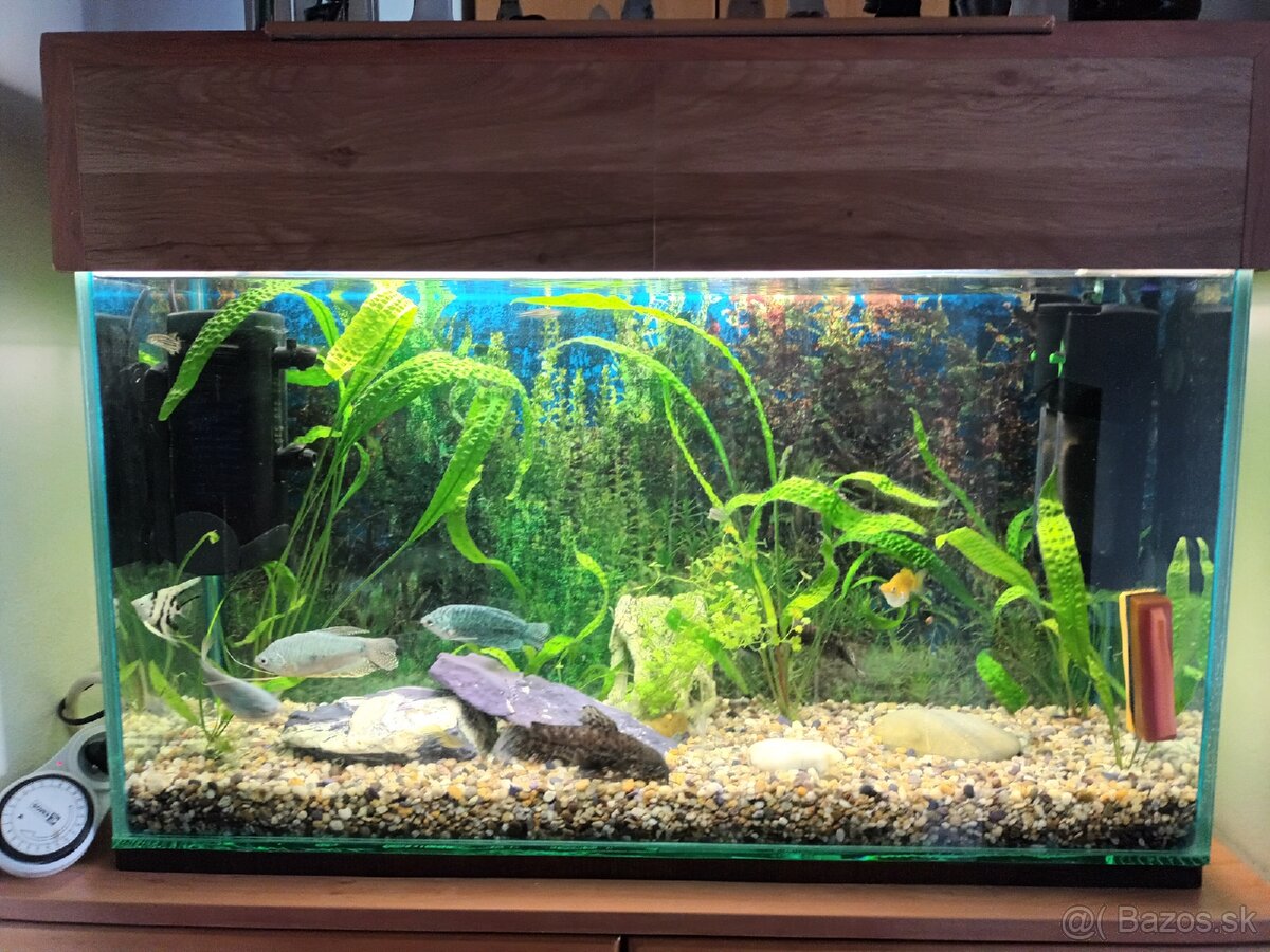 Akvarium